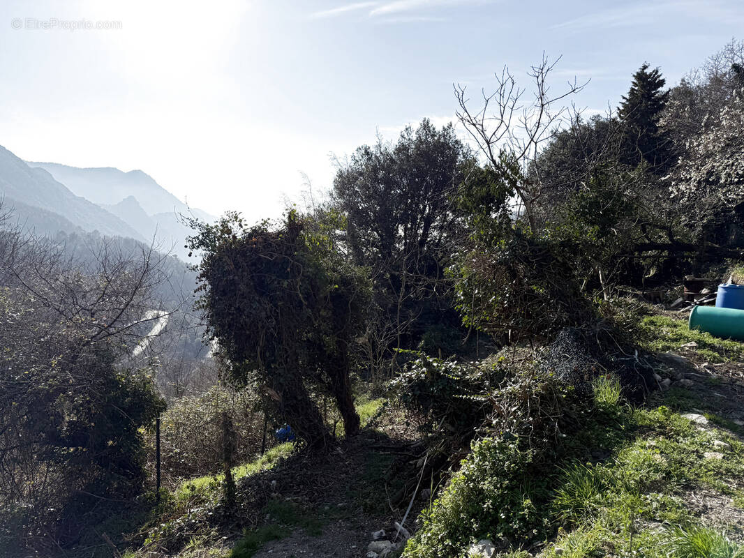 Terrain à CASTILLON