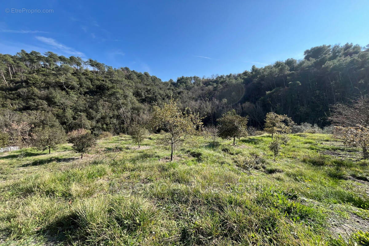 Terrain à VENCE