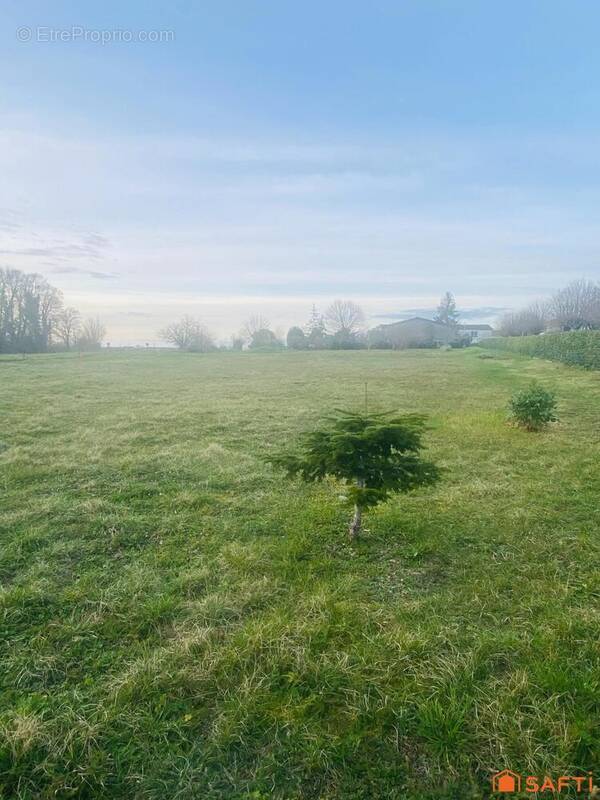 Photo 1 - Terrain à ASNIERES-LA-GIRAUD