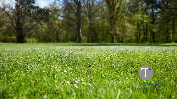 Terrain à CIVRAC-EN-MEDOC