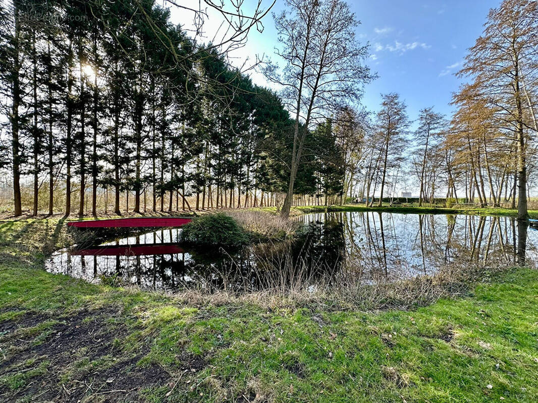 Terrain à FLAVY-LE-MARTEL