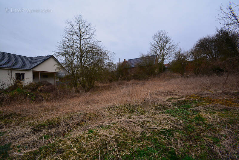 Terrain à ORSINVAL