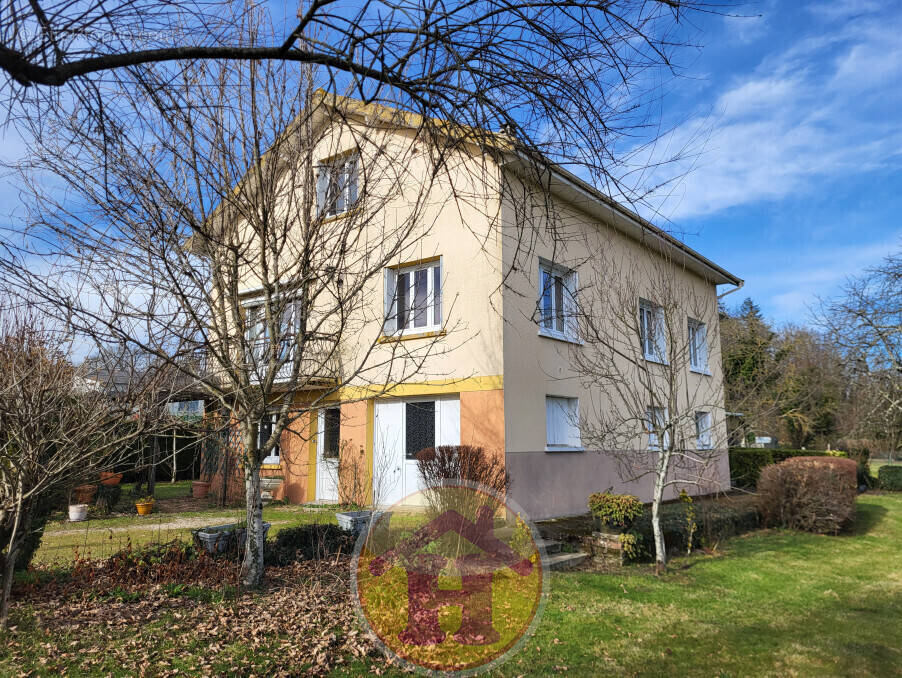 Maison à SAINT-BRICE-SUR-VIENNE