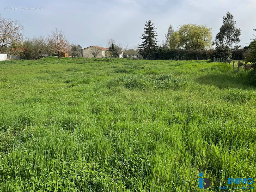 Terrain à MARSSAC-SUR-TARN