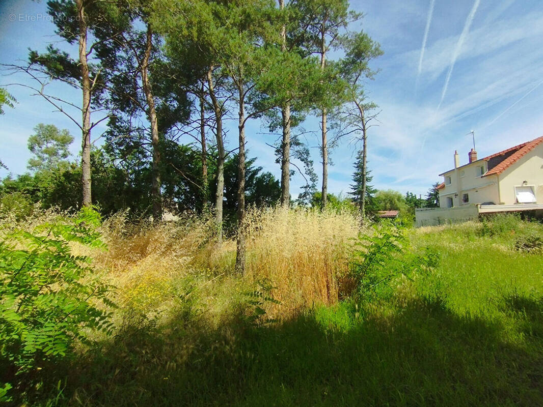 Terrain à CHATELLERAULT