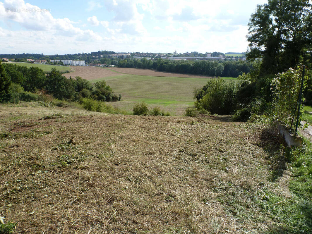 Photo 1 - Terrain à LA FERTE-GAUCHER