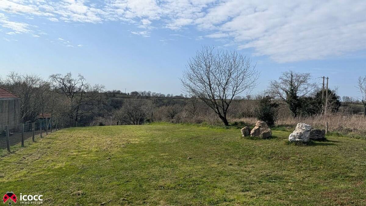 Terrain à CHATEAU-GUIBERT