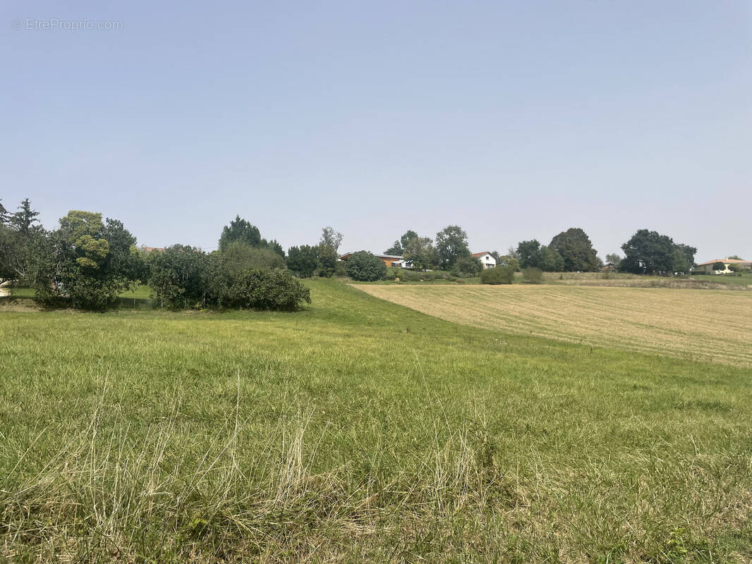 Terrain à AURIGNAC