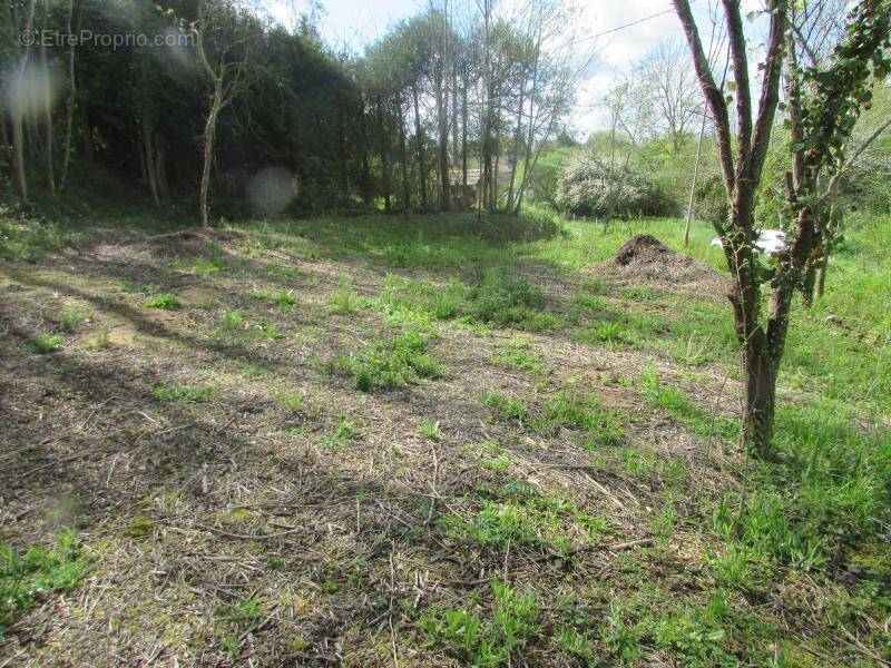 Terrain à CHERISY