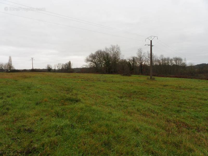 Terrain à MONTPEYROUX