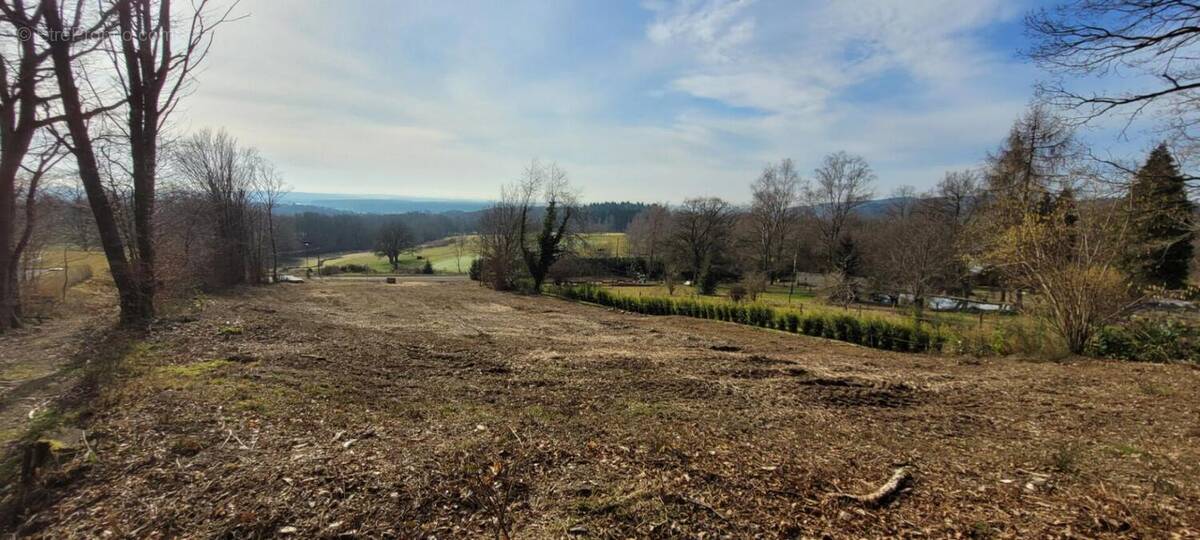 Terrain à MASEVAUX