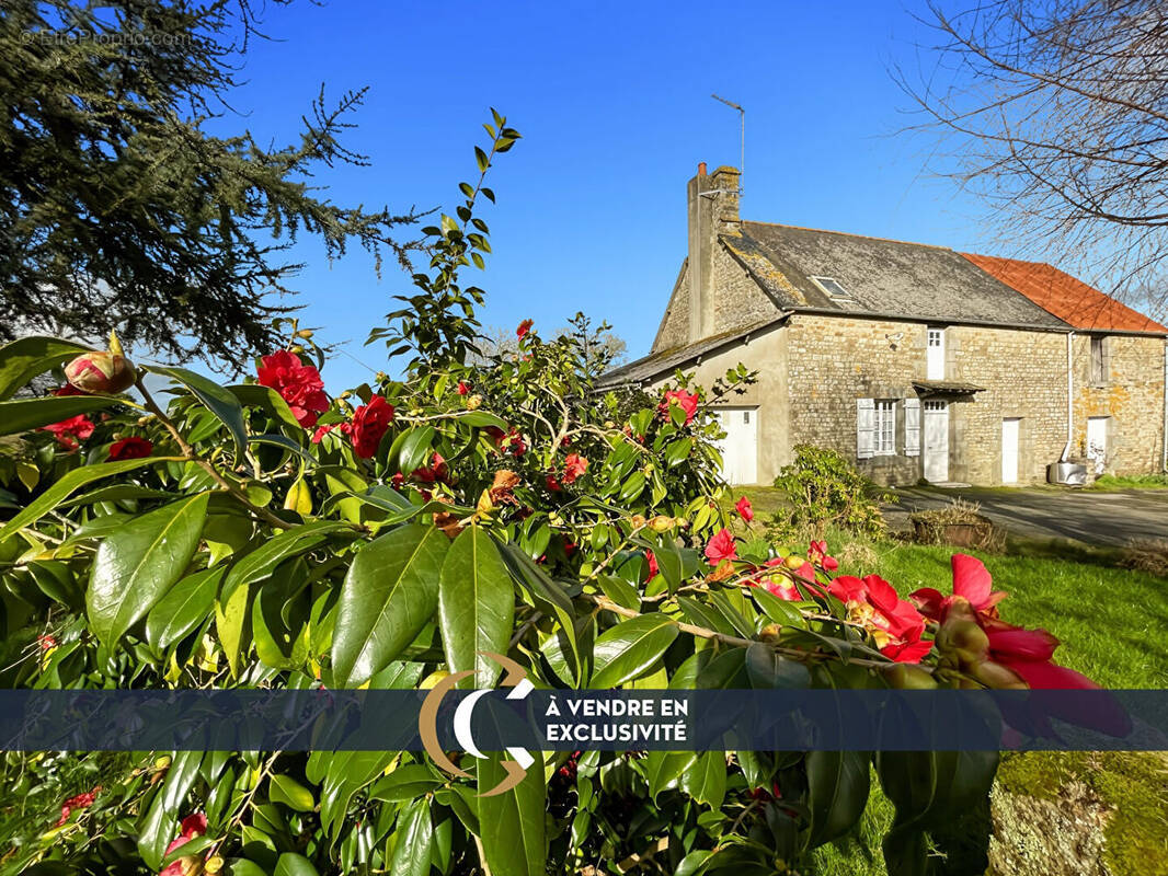 Maison à SENS-DE-BRETAGNE