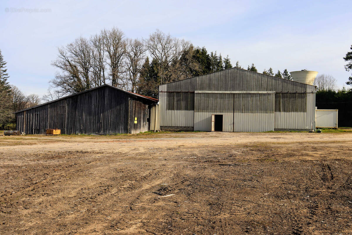 Commerce à MAISONNAIS-SUR-TARDOIRE