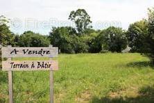 Terrain à SAINT-THIBAULT-DES-VIGNES