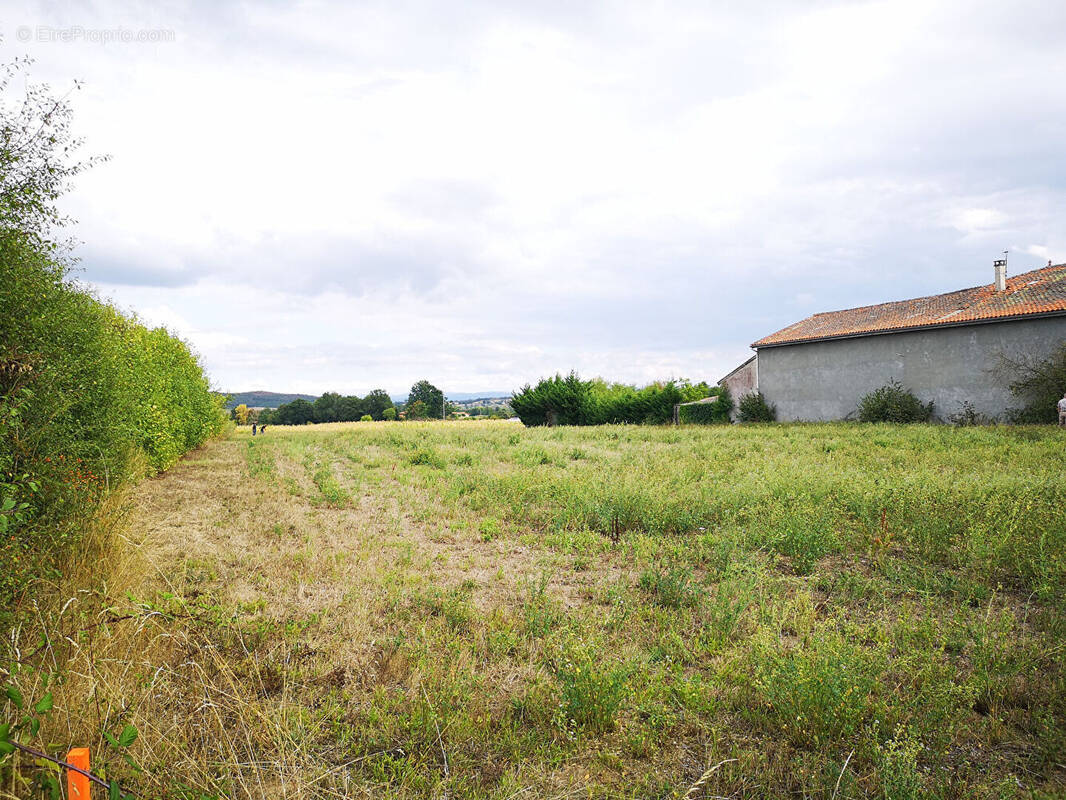 Terrain à MONTBRISON