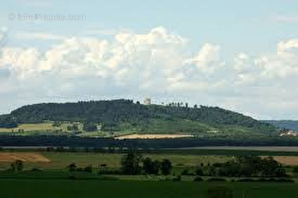 Terrain à RAMBUCOURT