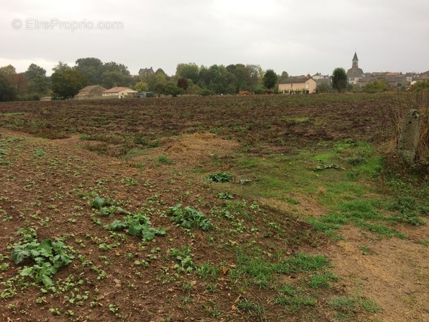 Terrain à SANXAY