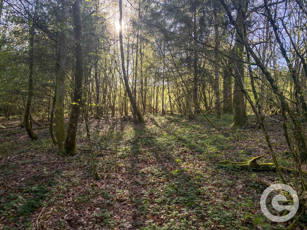 Terrain à DUN-LES-PLACES