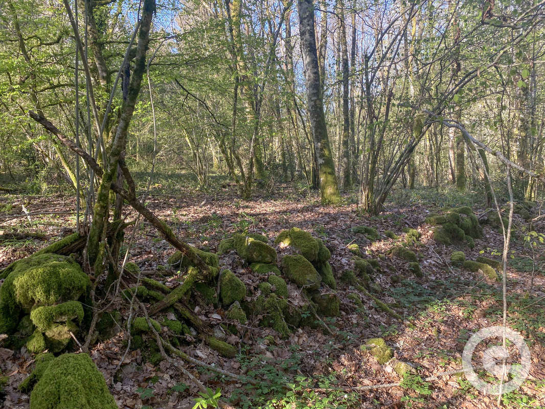 Terrain à DUN-LES-PLACES