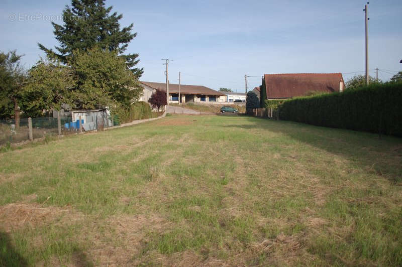 Terrain à VARENNES-SUR-ALLIER