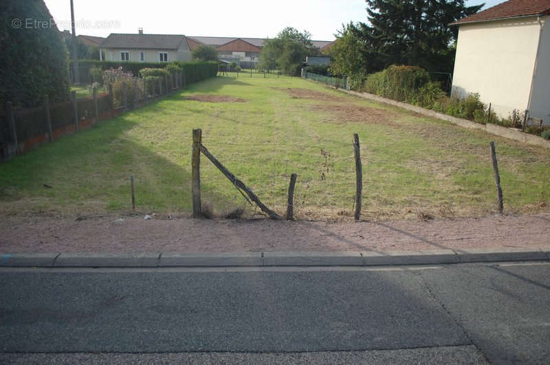 Terrain à VARENNES-SUR-ALLIER