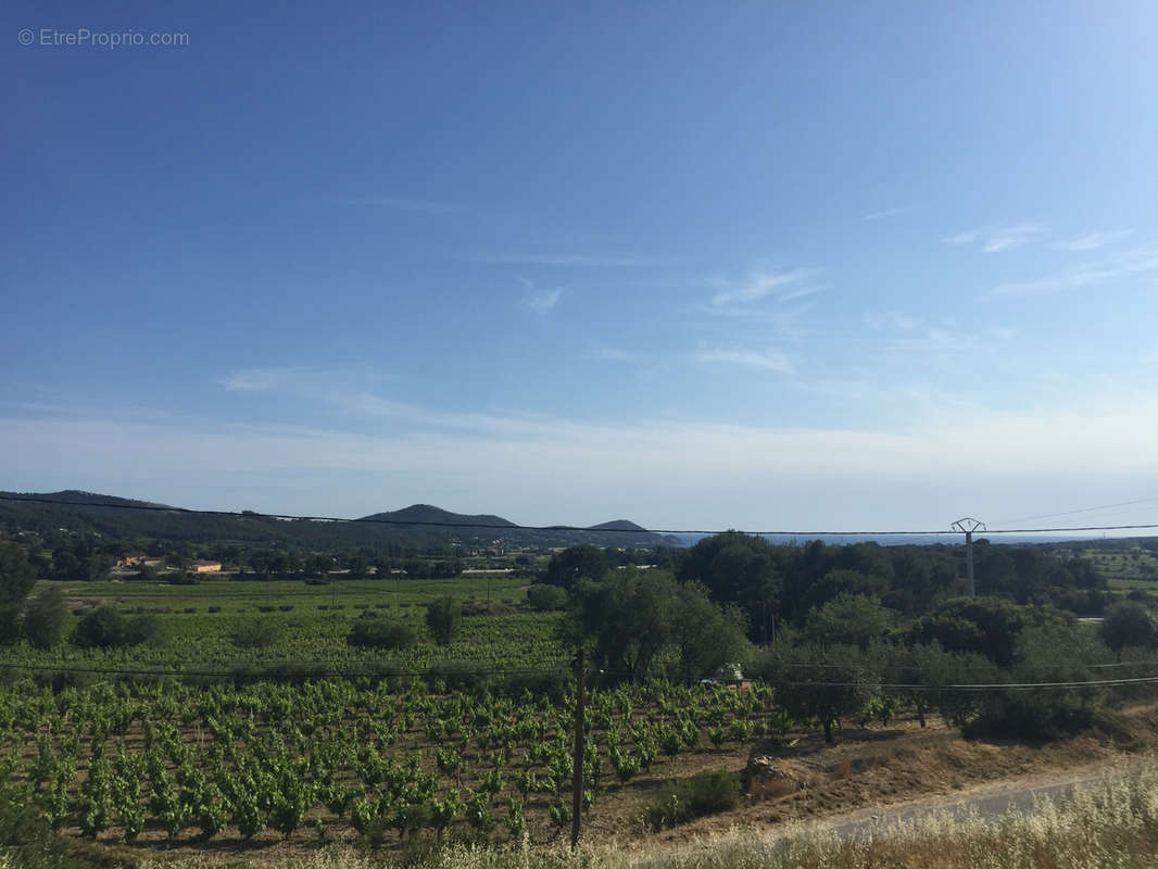 Terrain à LA CADIERE-D&#039;AZUR