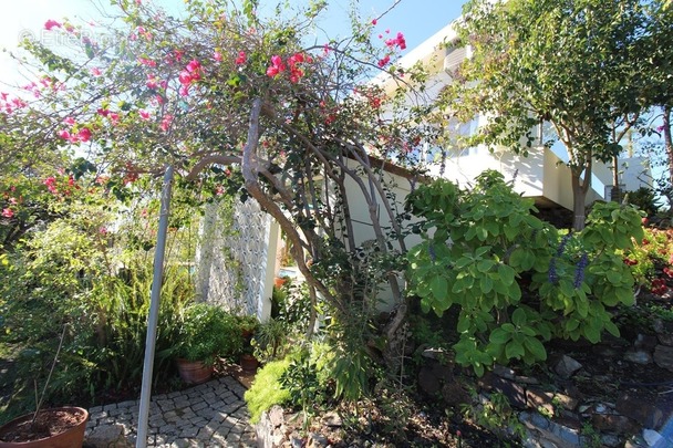 Maison à LES HERBIERS