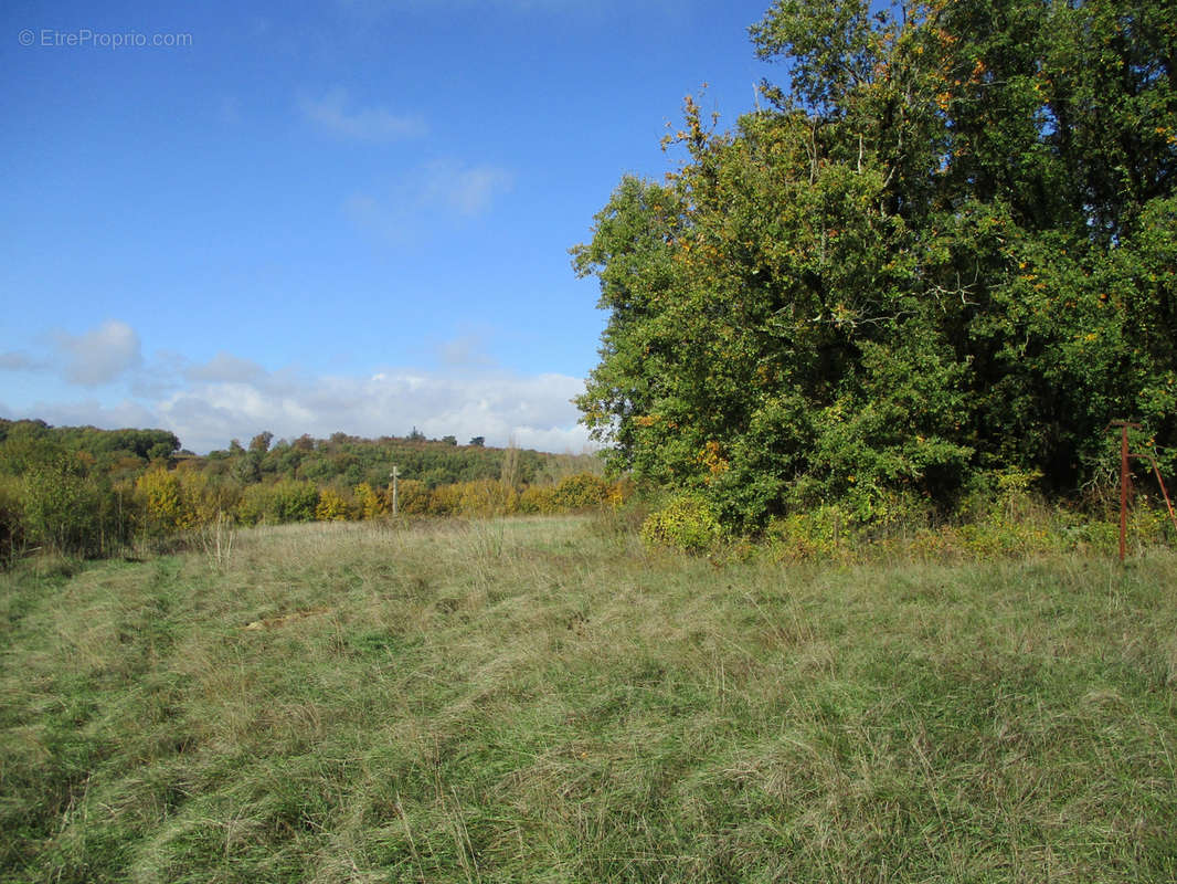 Terrain à VAUX