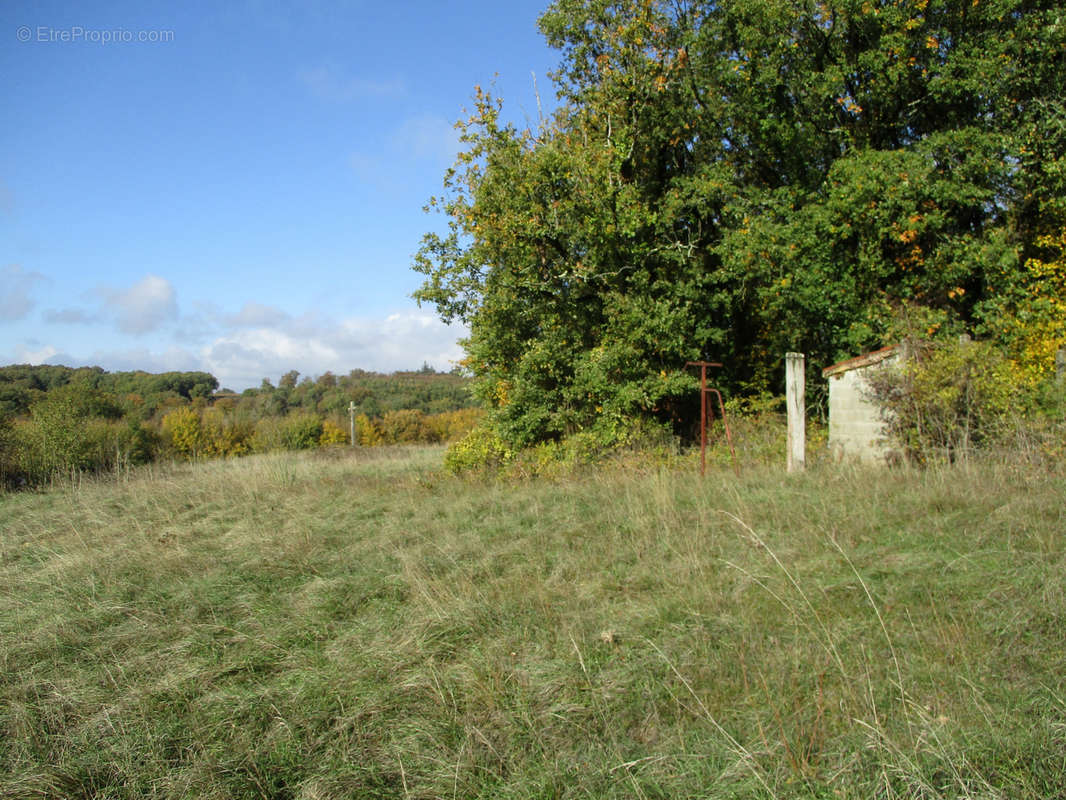 Terrain à VAUX