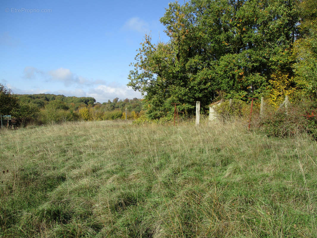 Terrain à VAUX