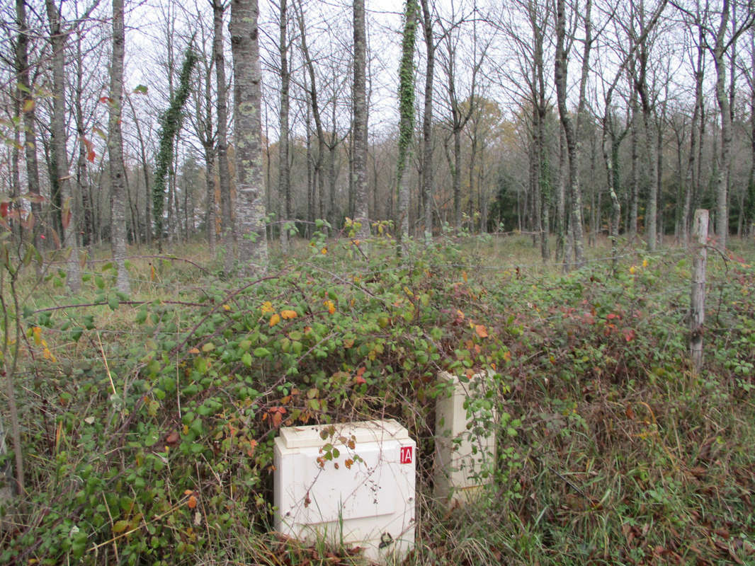 Terrain à VAUX