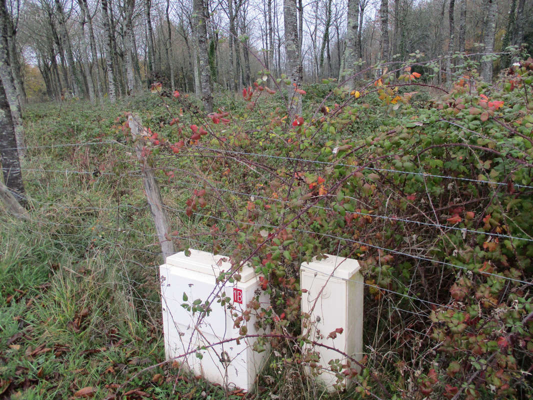 Terrain à VAUX