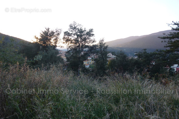 Terrain à AMELIE-LES-BAINS-PALALDA