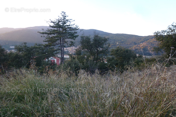 Terrain à AMELIE-LES-BAINS-PALALDA