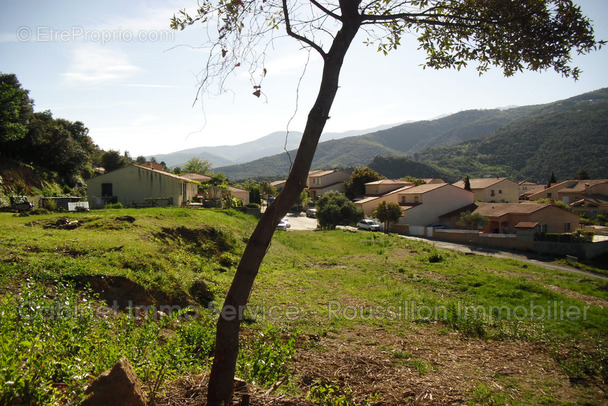 Terrain à AMELIE-LES-BAINS-PALALDA