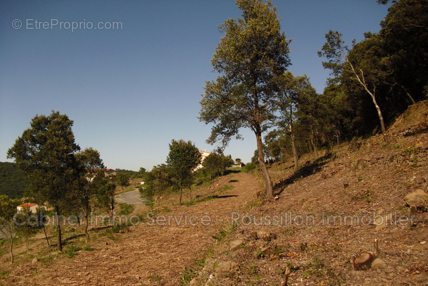 Terrain à AMELIE-LES-BAINS-PALALDA