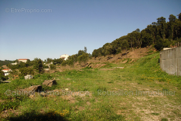 Terrain à AMELIE-LES-BAINS-PALALDA