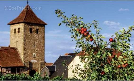 Appartement à DUNTZENHEIM