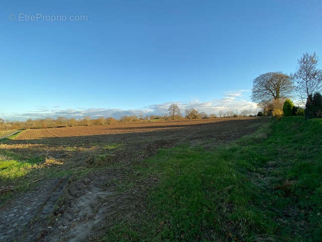 Terrain à VIRE