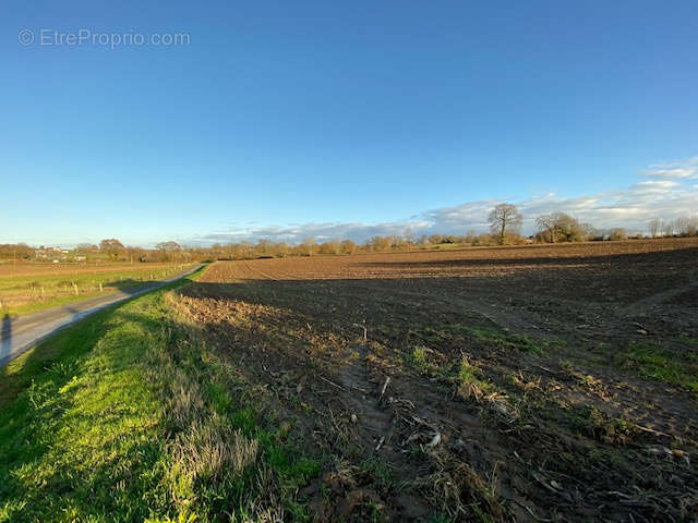 Terrain à VIRE