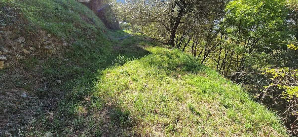 Terrain à LA BOLLENE-VESUBIE