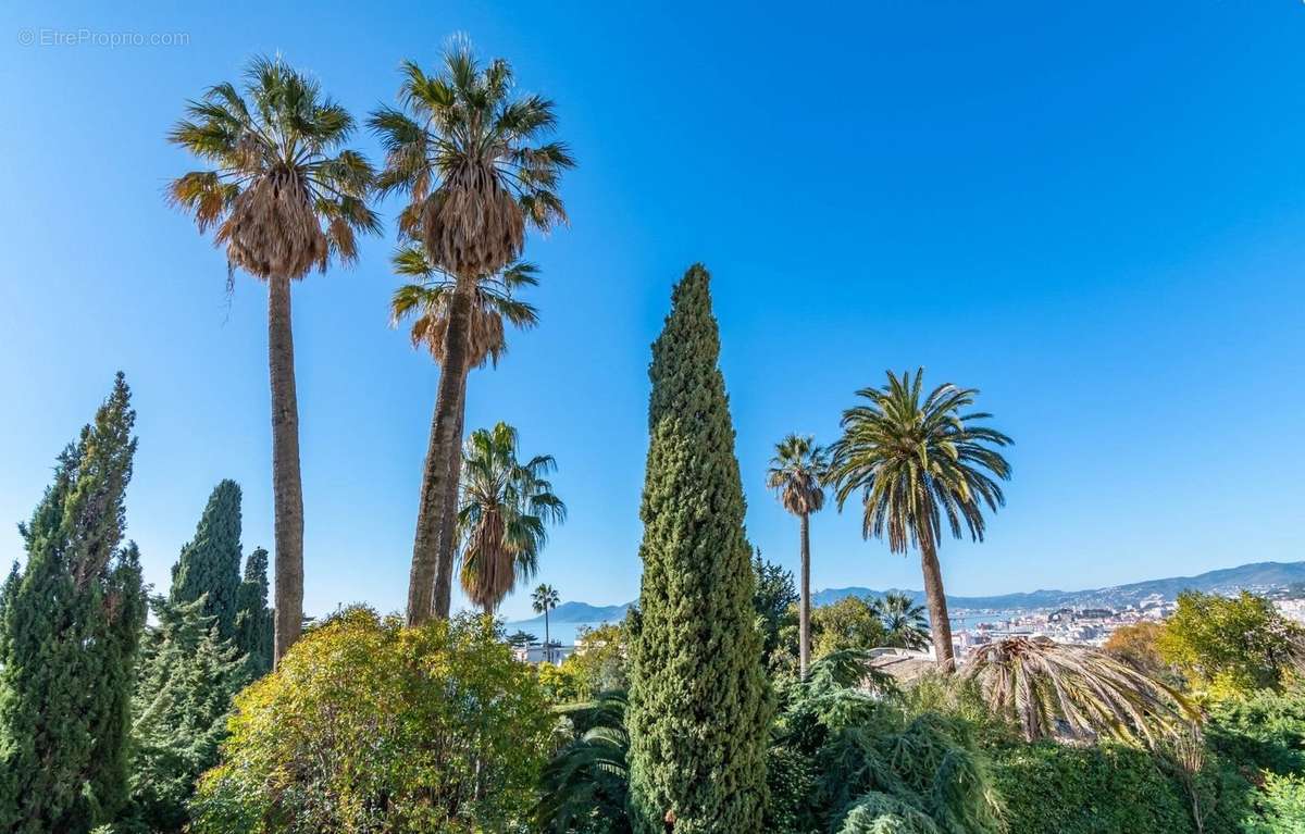 Appartement à CANNES