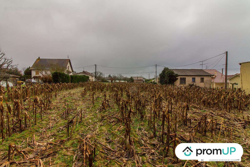 Terrain à SAINT-FRONT-DE-PRADOUX