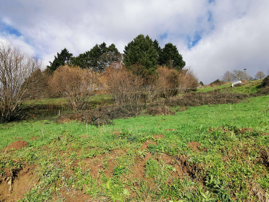 Terrain à DAMPNIAT