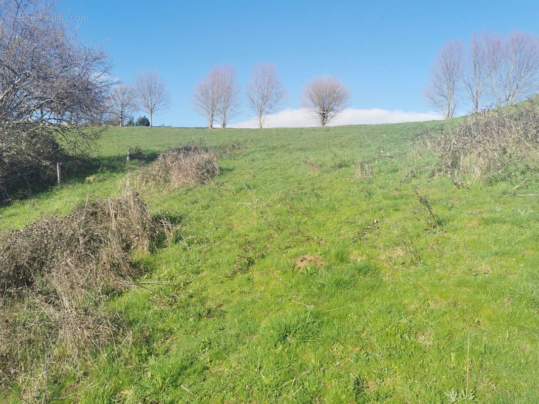 Terrain à DAMPNIAT