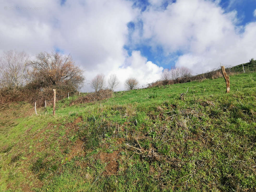 Terrain à DAMPNIAT