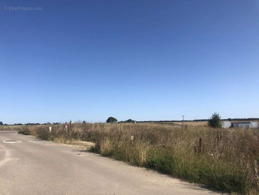 Terrain à LORREZ-LE-BOCAGE-PREAUX