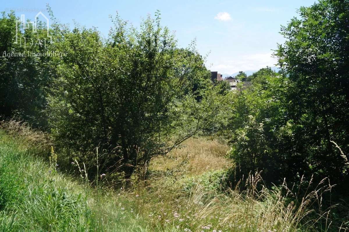 Terrain à NOTRE-DAME-DE-COMMIERS