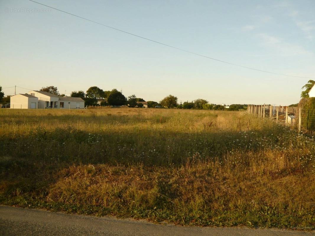 Terrain à SAINT-ROMAIN-DE-BENET