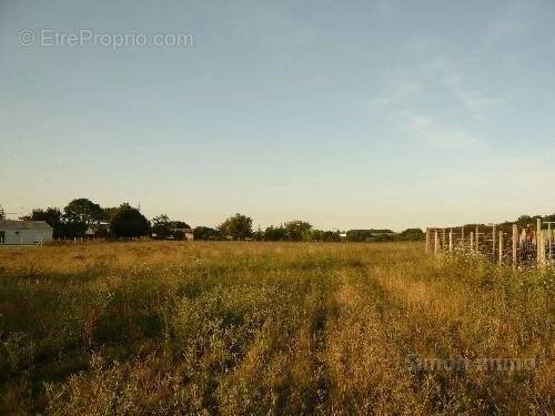 Terrain à BUSSAC-SUR-CHARENTE